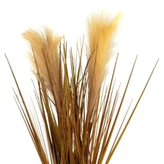 B&M Pampas Grass In Stone Pot - Neutral - Image 2